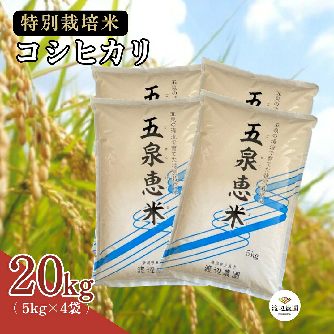 【ふるさと納税】 令和8年先行予約 米 20kg ( 5kg × 4袋 ) 五泉産 コシヒカリ五泉恵米 特別栽培米 選べる回数 | 白米 精米 こしひかり お米 おこめ コメ こめ おすすめ 人気 新潟県 五泉市 渡辺農園|新潟県五泉市