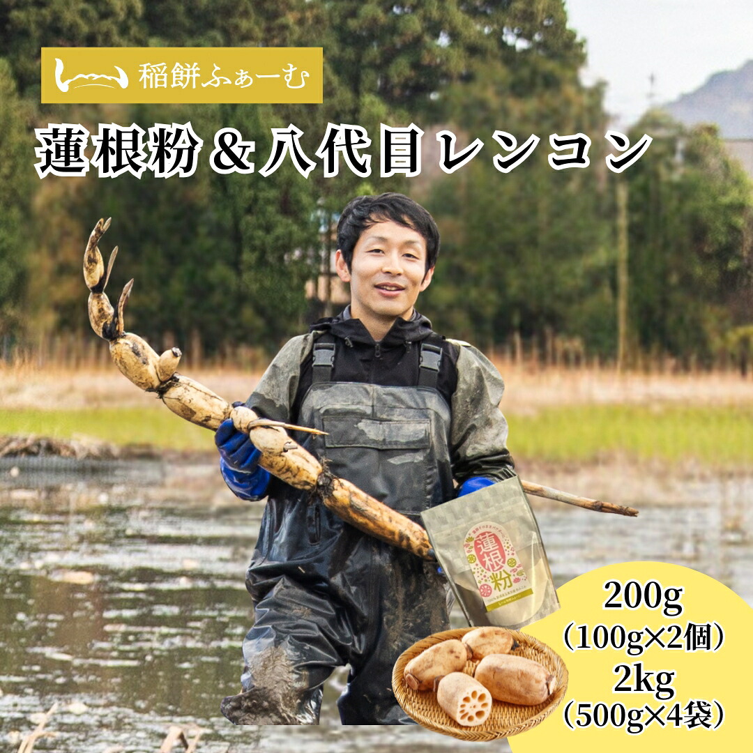 【ふるさと納税】【先行予約品】 蓮根粉 200g(100g×2個)＆五泉八代目レンコン 2kg(500g×4袋) | レンコン 蓮根 レンコンパウダー 野菜 根菜 産地直送 国産 新潟県 五泉市 稲餅ふぁーむ 14,000円