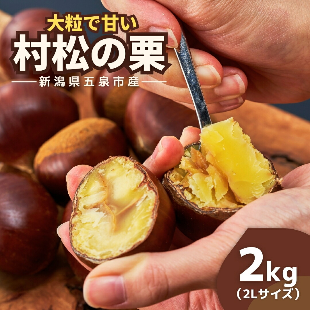 【ふるさと納税】【先行予約】 栗 越後村松の栗 2kg ( 2Lサイズ ) 大粒 | くり クリ お取り寄せ 産地直送 新潟県 五泉市 村松特産振興協議会栗部会 [2026年10月下旬から順次発送]