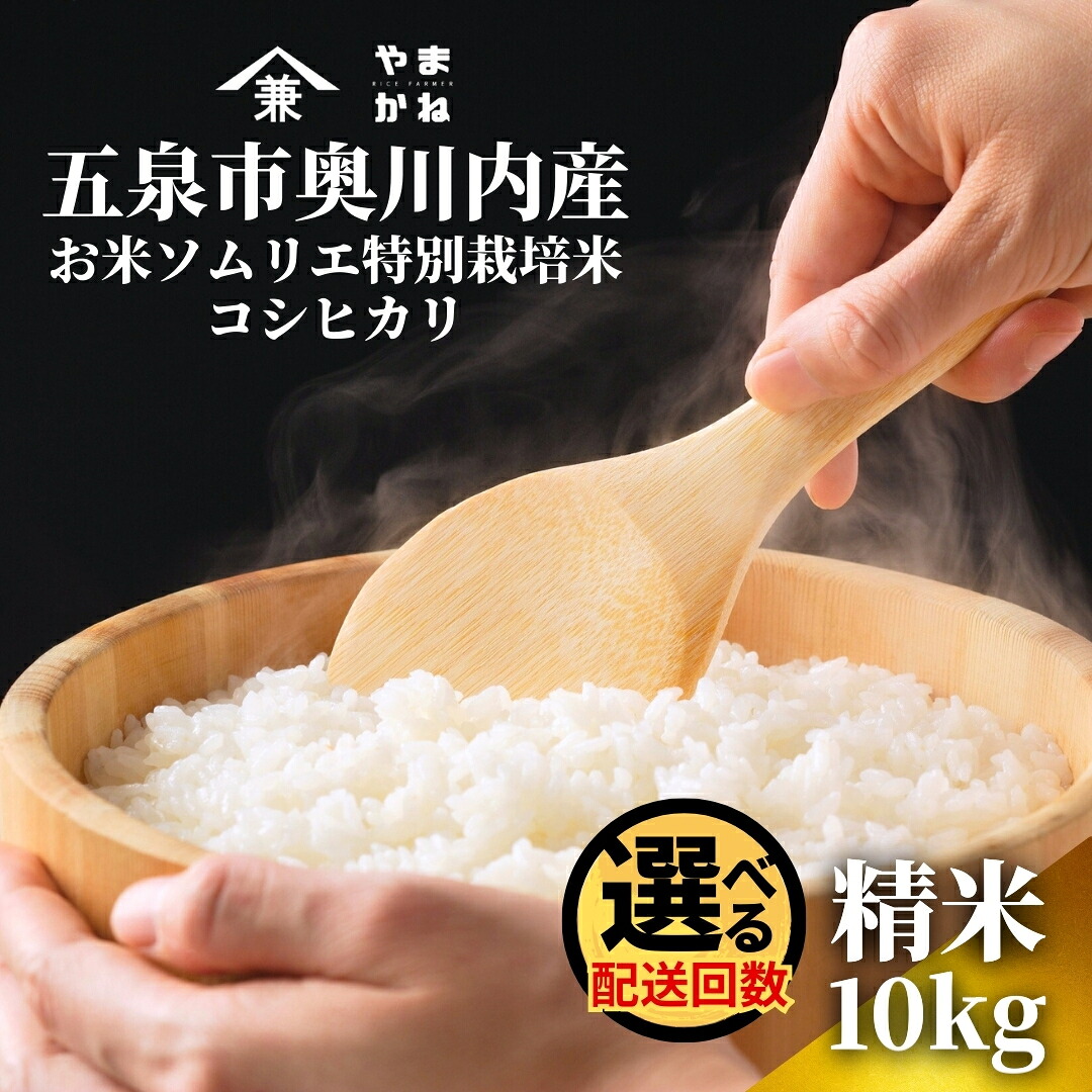 【ふるさと納税】 【先行予約】令和8年産 米 10kg(5kg×2袋) 五泉市奥川内産 コシヒカリ お米ソムリエ 特別栽培米 選べる配送回数 | 白米 精米 こしひかり お米 おこめ 新潟県 五泉市 ライスファーマーやまかね|新潟県五泉市