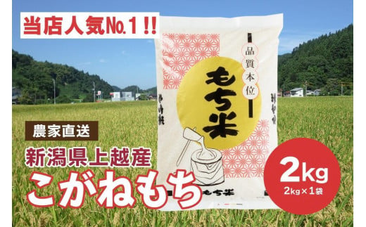 【ふるさと納税】ブランドもち米「 こがねもち 」令和6年産 新潟県産／【精米2kg×1袋】 コガネモチ 米 お米 こめ新潟 上越　お届け：ご注文後、2週間を目途に順次発送いたします。