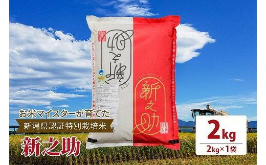 【ふるさと納税】令和7年産お米マイスターが育てた新潟県認証特別栽培米「新之助」上越頸城産 2kg(2kg&times;1)精米　お届け：ご入金確認後、2～3週間を目途に順次発送いたします。｜新潟県上越市