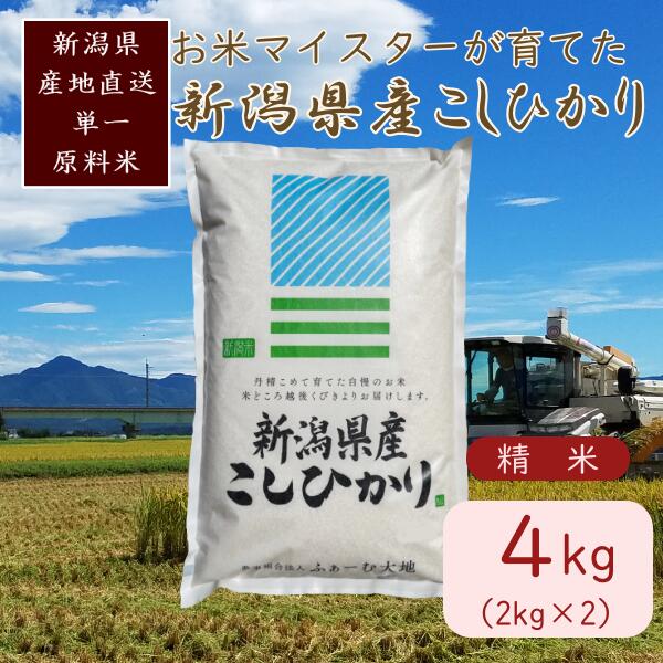 【ふるさと納税】令和7年産 お米マイスターが育てた上越産コシヒカリ4kg(2kg&times;2) 白米　精米　お届け：ご入金確認後、2～3週間を目途に順次発送いたします。｜新潟県上越市