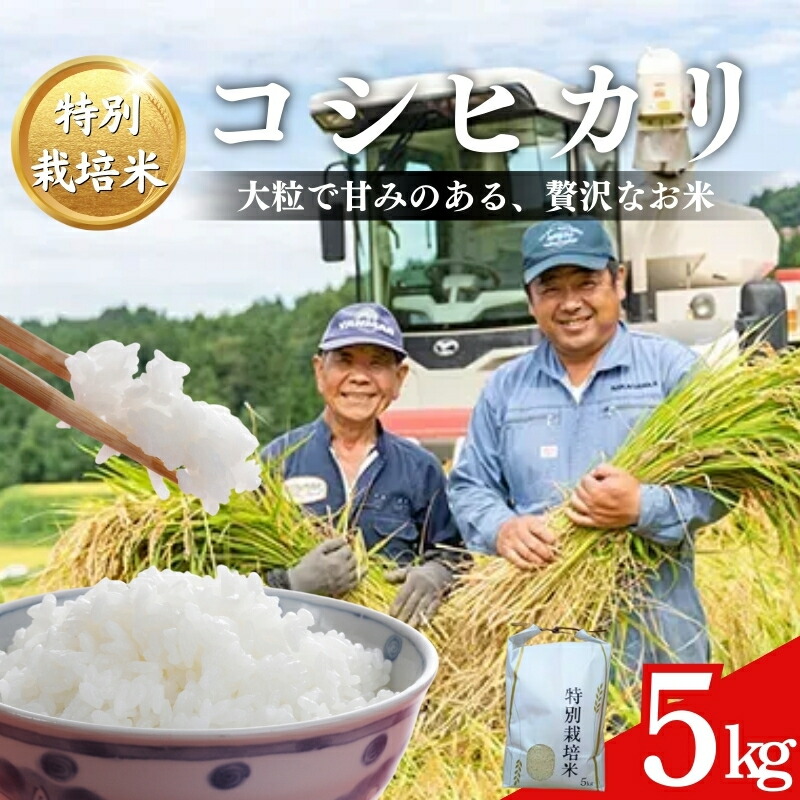 【ふるさと納税】令和7年産 米 特別栽培米 コシヒカリ (白米) 5kg 5キロ 棚田米 どぶろく荘 こしひかり お米 コメ 送料無料　お届け：ご入金確認次第順次発送いたします。｜新潟県上越市