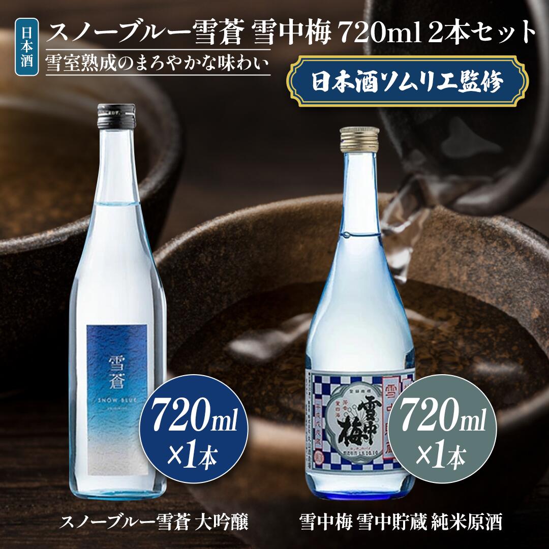 【ふるさと納税】日本酒 スノーブルー雪蒼 雪中梅 720ml 2本 セット お酒酒　お届け：順次発送