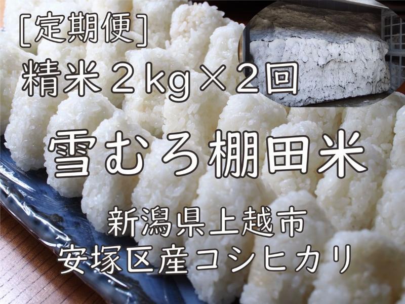 【ふるさと納税】令和7年 新潟県産 棚田米 コシヒカリ 精白米 定期便 4kg 4キロ (2kg×2回) 雪中貯蔵 雪むろ こしひかり 精米 お米 こめ 新潟 上越 米 送料無料 お届け:寄附ご入金確認の翌月以降、2カ月連続でお届けします。|新潟県上越市