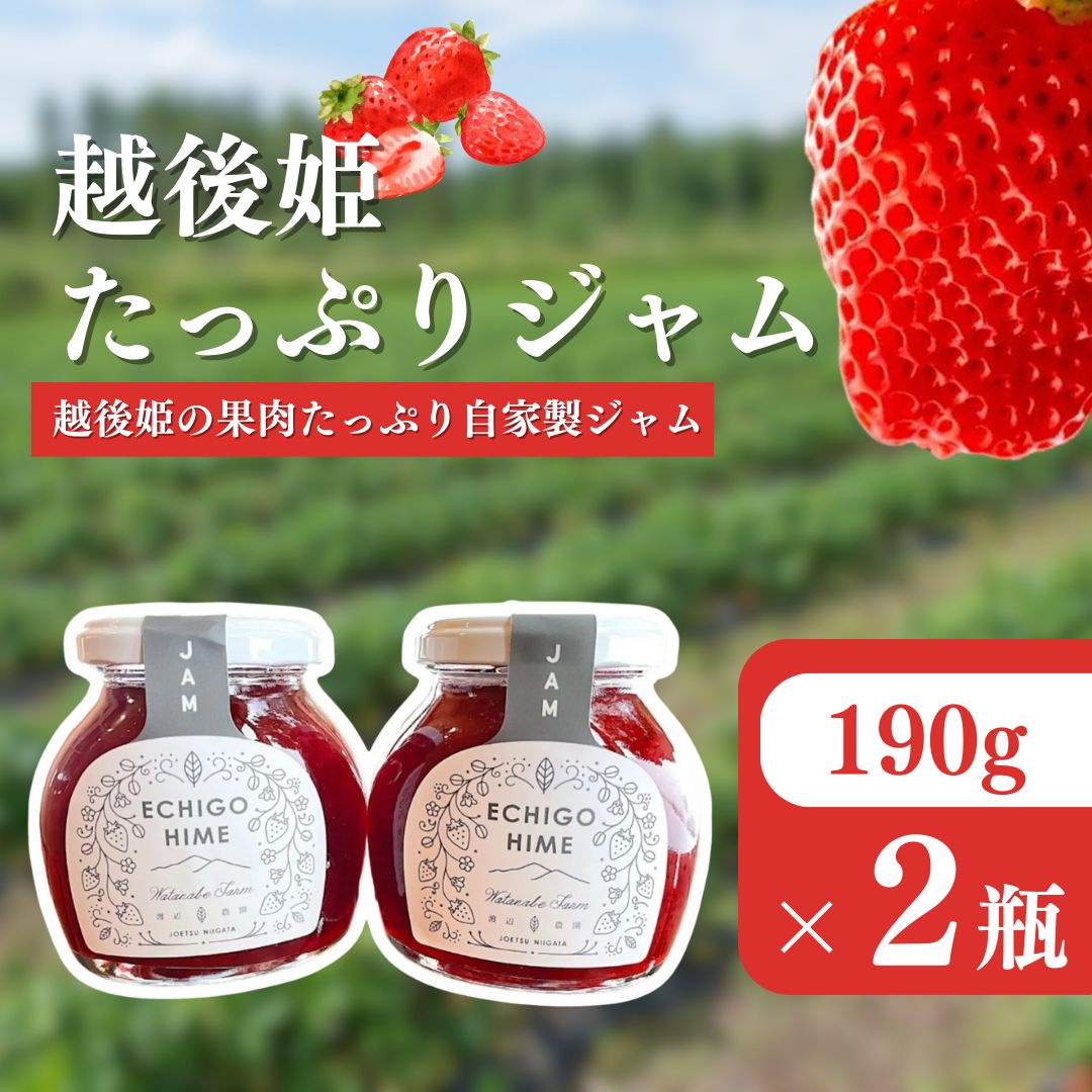 【ふるさと納税】いちご 越後姫 ジャム 190g×2個 からだよろこぶ越後姫 イチゴ 苺 定植後化学農薬不使用 渡辺農園 上越市 新潟県