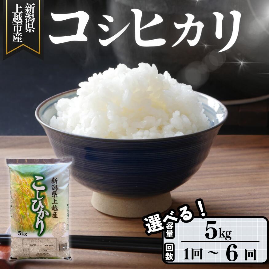 楽天市場】【ふるさと納税】新米 令和7年 新潟県産 コシヒカリ 謙信