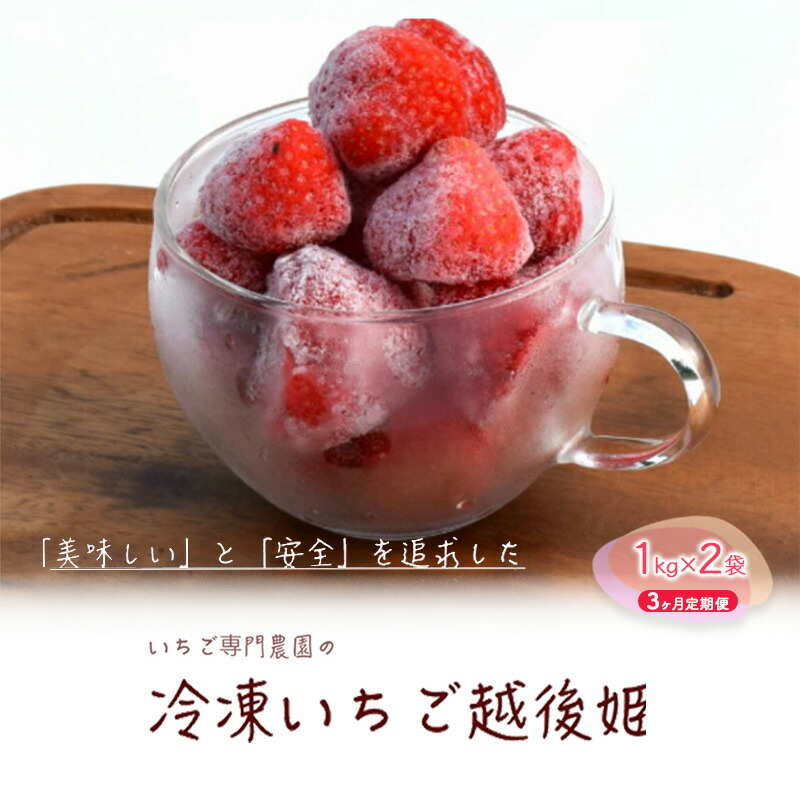 【ふるさと納税】冷凍いちご 越後姫1kg×2袋 3ヶ月定期便 冷凍 イチゴ 苺 果物 フルーツ 定期 新潟