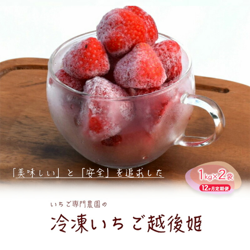 【ふるさと納税】冷凍いちご 越後姫1kg×2袋 12ヶ月定期便 冷凍 イチゴ 苺 果物 フルーツ 定期 新潟