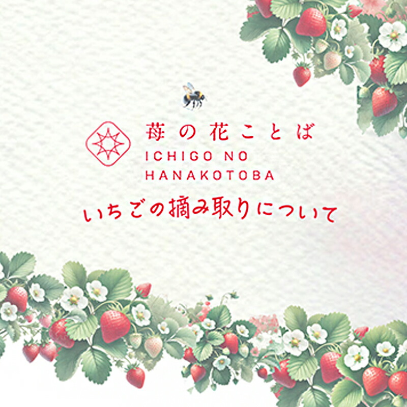 【ふるさと納税】いちご摘み取り3kgまで体験券 いちご イチゴ 苺 加工品 お取り寄せ 新潟　お届け：2025年2月上旬～5月末まで