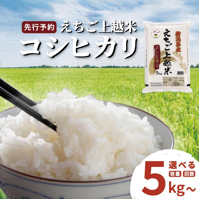 【ふるさと納税】【先行予約】令和7年 新米 新潟県産コシヒカリ えちご上越米 容量と回数が選べる 新潟 米 新潟県 こしひかり 限定 おすすめ　お届け：2025年10月上旬～