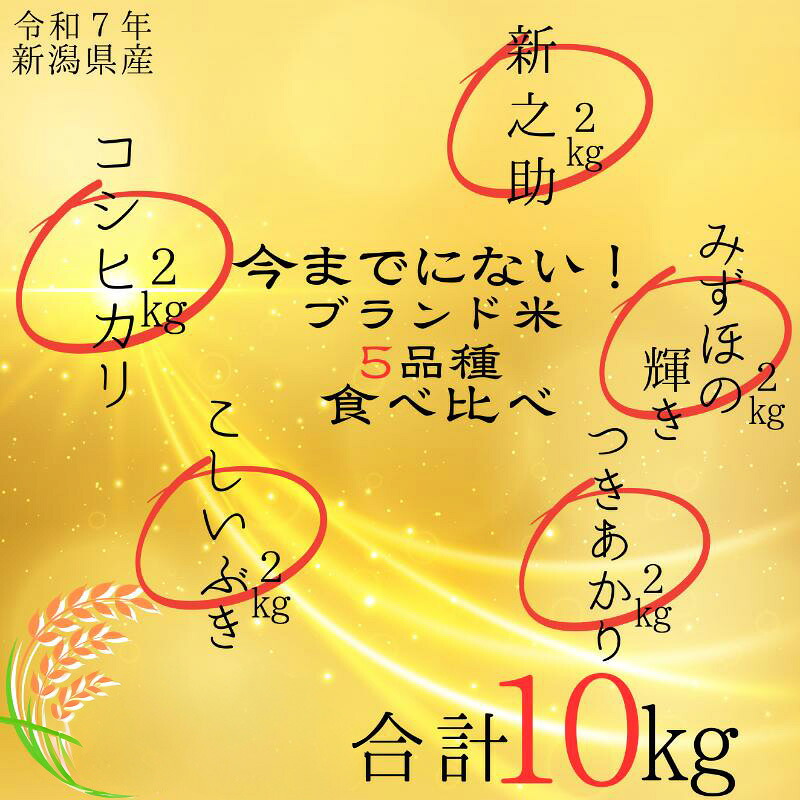 【ふるさと納税】令和7年 新潟県産米5品種食べ比べセット 10kg（2kg×5種類） 食べ比べブランド米はコシヒカリ 新之助 こしいぶき つきあかり みずほの輝き 白米 精米 送料無料 上越市 米ヴィレッジさんわ　お届け：2025年10月～2026年9月下旬