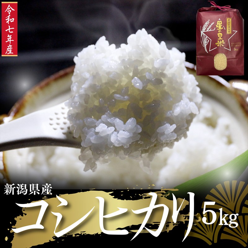 【ふるさと納税】令和7年 新潟県産 コシヒカリ 5kg 5キロ 上越市 清里産 星の里米 TY GREEN 白米 精米 送料無料｜新潟県上越市