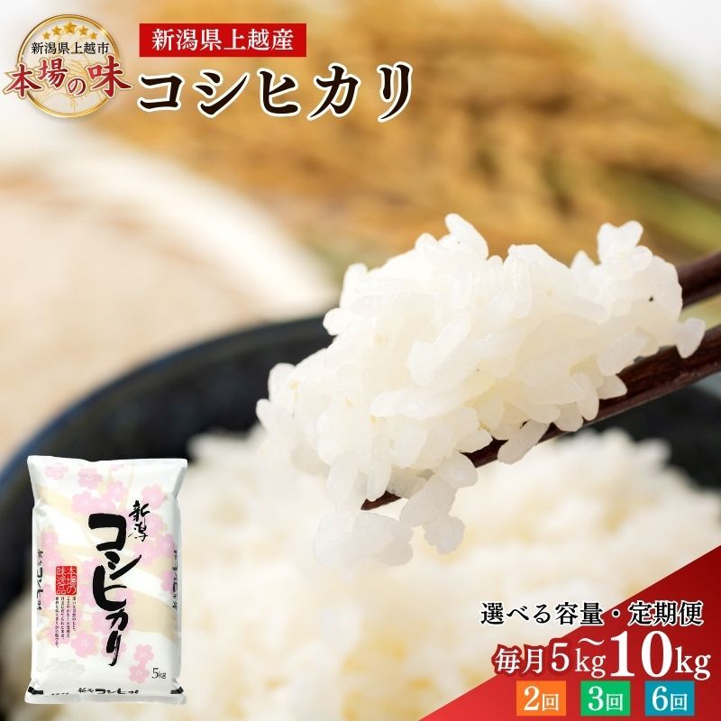 【ふるさと納税】令和7年産 コシヒカリ 5kg 5キロ 越後上越の恵み 精米したてをお届け 米 こしひかり 新潟 お米 こめ 上越市　お届け：2026年9月30日まで｜新潟県上越市