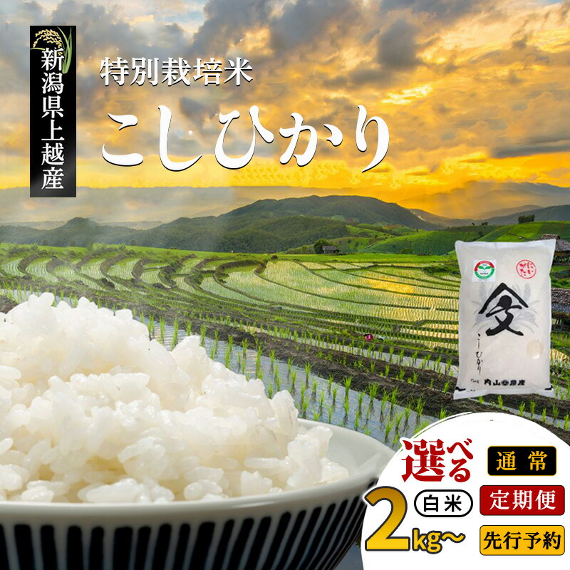 【ふるさと納税】先行予約 令和8年産 令和7年産 新潟県上越産「 特別栽培米 コシヒカリ 」 白米 2kg 5kg 10kg 15kg 定期便 内山農産 こしひかり お米 こめ おすすめ 新潟県産 にいがた 上越|新潟県上越市