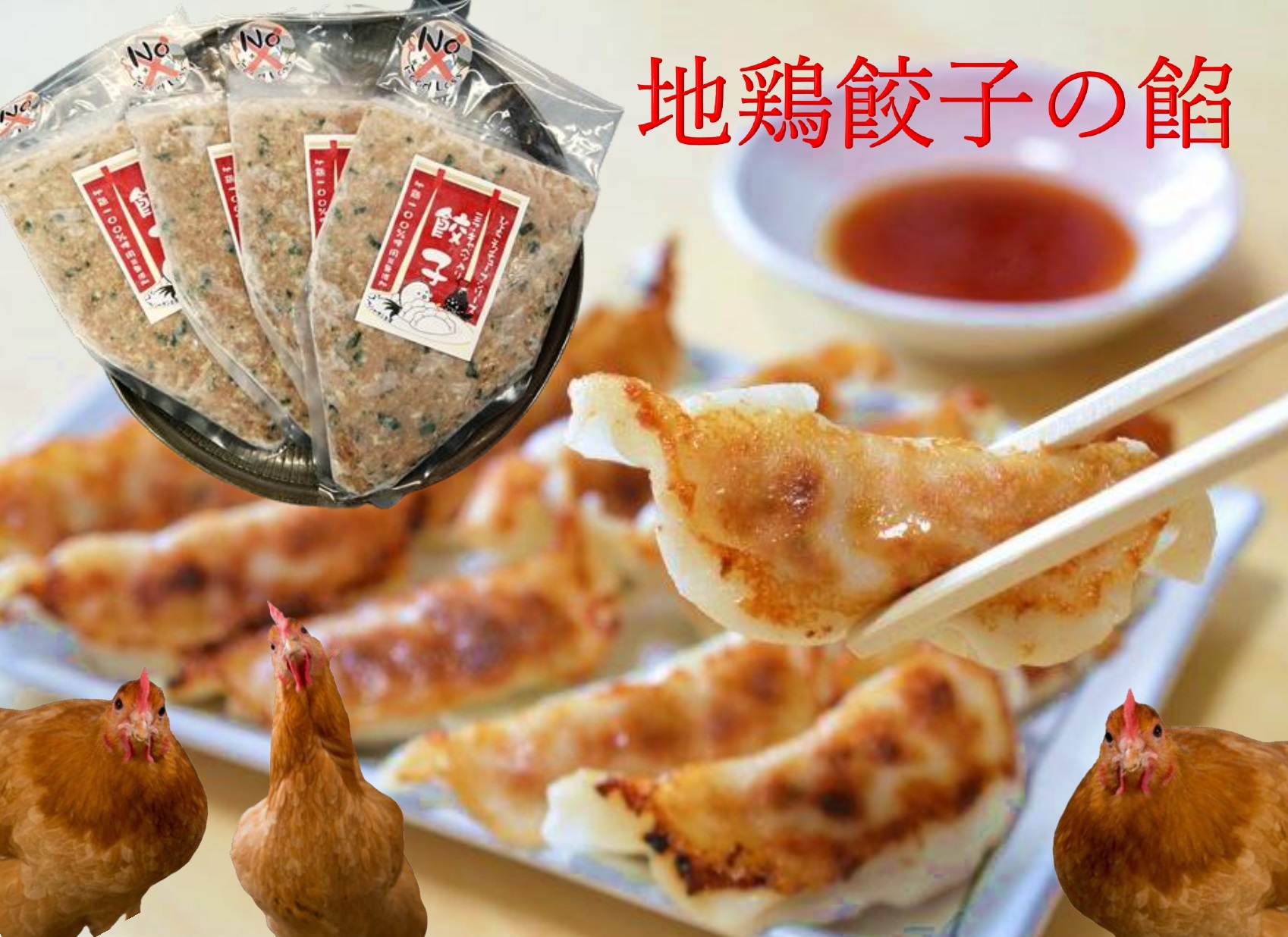 【ふるさと納税】<br>手作り地鶏餃子の餡　4本セット