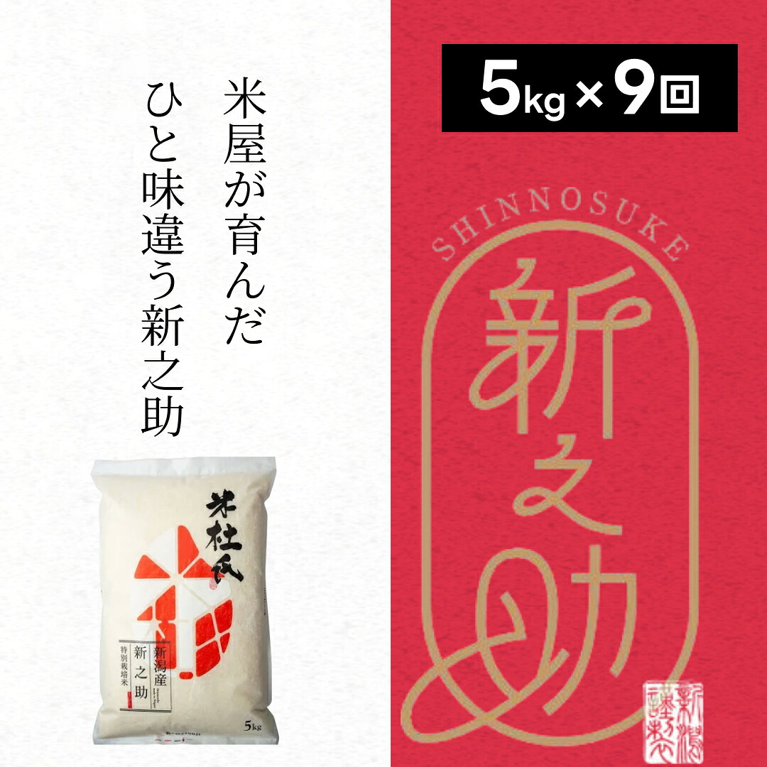 【ふるさと納税】【令和7年産】【9ヶ月定期便】 特別栽培米 新之助 5kg (5kg&times;1袋)&times;9回 米杜氏 壱成 白米 精米 大粒 つや 光沢 弾力 芳醇 新潟県 米 こめ コメ｜新潟県阿賀野市