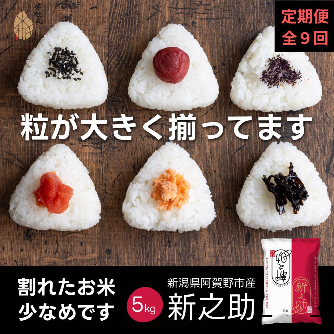 【ふるさと納税】 【令和7年産】【9か月定期便】 新之助 5kg×9回 計 45kg 米杜氏 壱成 白米 精米 大粒 つや 光沢 弾力 芳醇 新潟県 米 こめ コメ|新潟県阿賀野市