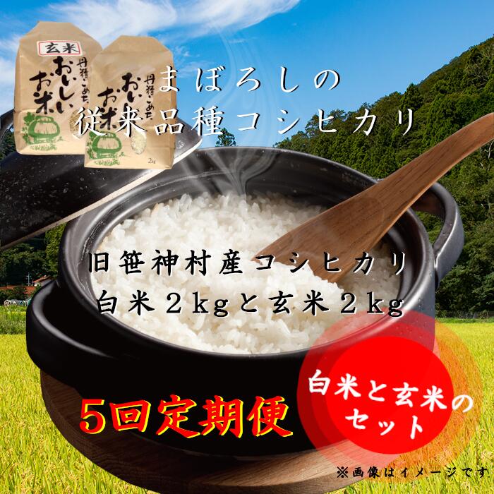 特別価格 ≪5回定期便≫旧笹神村産 コシヒカリ 白米2kgと玄米2kg fucoa.cl