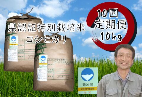 【ふるさと納税】【令和7年産】【10回定期便】新潟県認証！特別栽培米 コシヒカリ 10kg 新潟県 阿賀野市 白米 精米 さいとう農園 米 こめ コメ