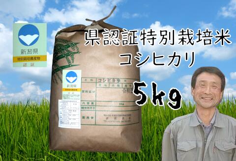 【ふるさと納税】【令和8年産新米予約】 新潟県認証 特別栽培米 コシヒカリ 5kg 新潟県 阿賀野市 白米 精米 さいとう農園 米 こめ コメ 新米 新米予約 令和８年度産 9月下旬より順次発送｜新潟県阿賀野市