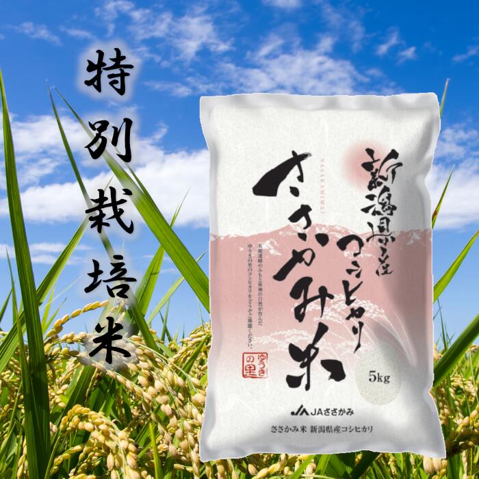 \新米もOK/特別栽培米 コシヒカリ ささかみ米 10kg