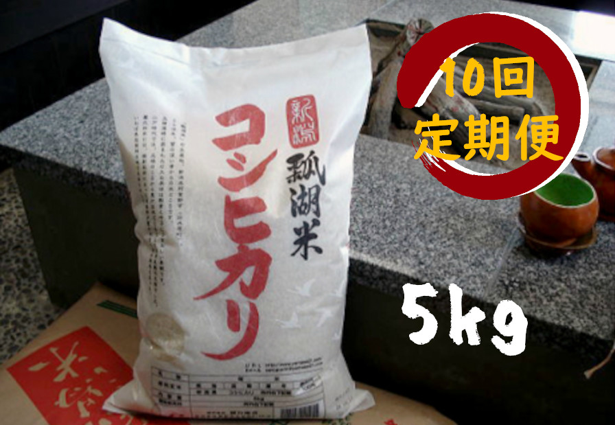 100 本物保証 楽天市場 ふるさと納税 新潟産 コシヒカリ 瓢湖米 5kg 10回 定期便 新潟県阿賀野市 在庫あり 即納 Lexusoman Com