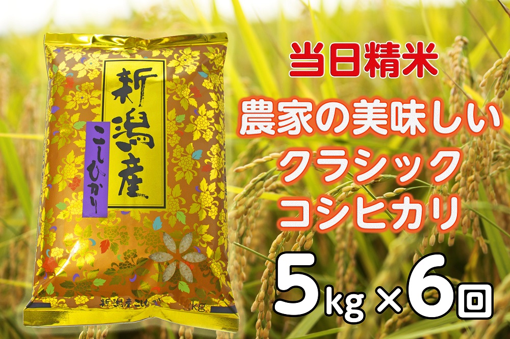 【ふるさと納税】【令和7年産】【6ヶ月定期便】 当日精米! 農家直送 美味しい クラシックコシヒカリ 5kg×6回 計30kg 新潟県 阿賀野市 精米 白米 従来品種 水原町農産センター 新潟県 米 こめ コメ 定期便|新潟県阿賀野市