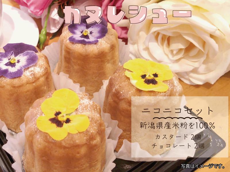 ヒトツブカンロ mofuwa 6個入 グリーディンググミッツェル お