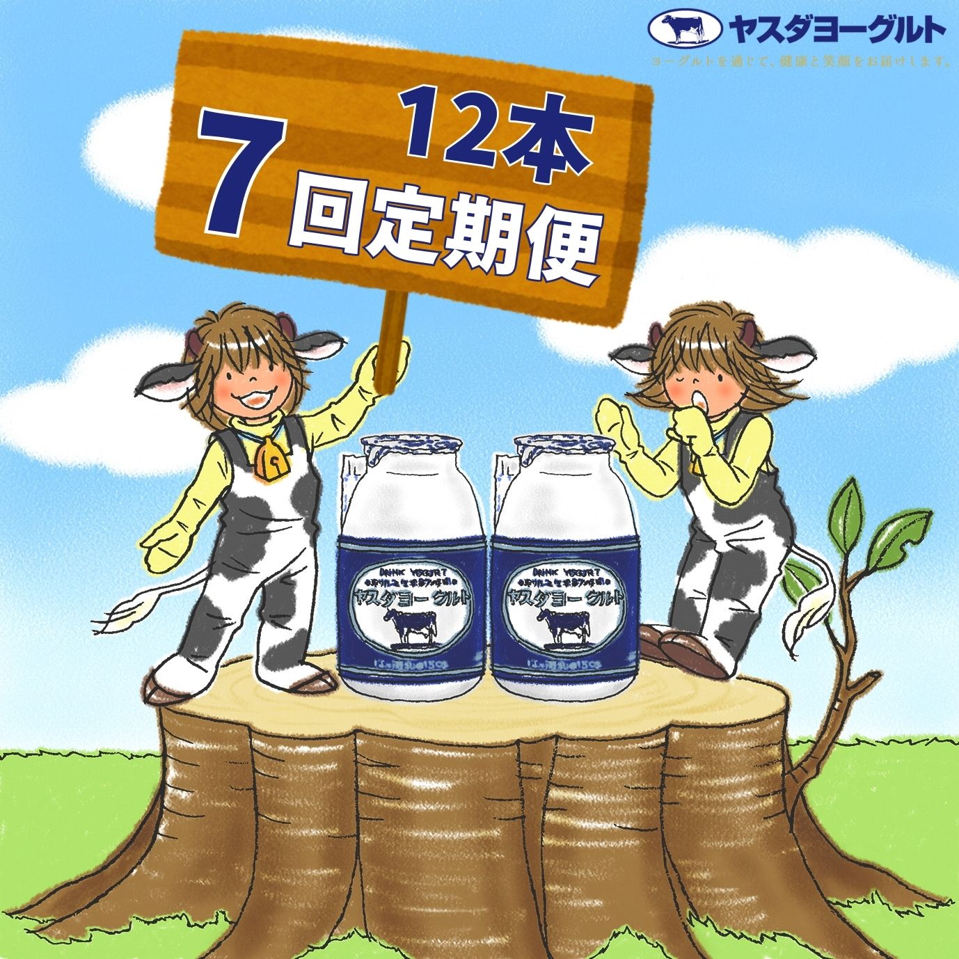 【ふるさと納税】≪7回定期便 ≫ ヤスダヨーグルト 150g×12本 飲むヨーグルト ヨーグルト こだわり生乳 濃厚