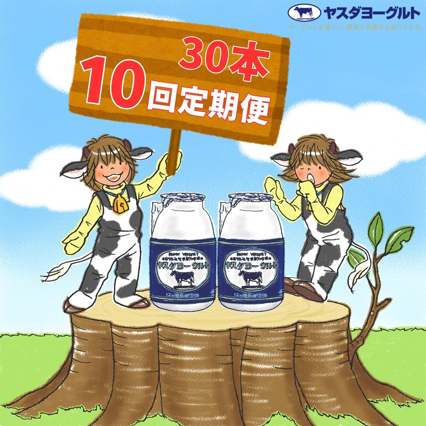 【ふるさと納税】≪10回定期便 ≫ヤスダヨーグルト 150g×30本 飲むヨーグルト ヨーグルト こだわり生乳 濃厚|新潟県阿賀野市