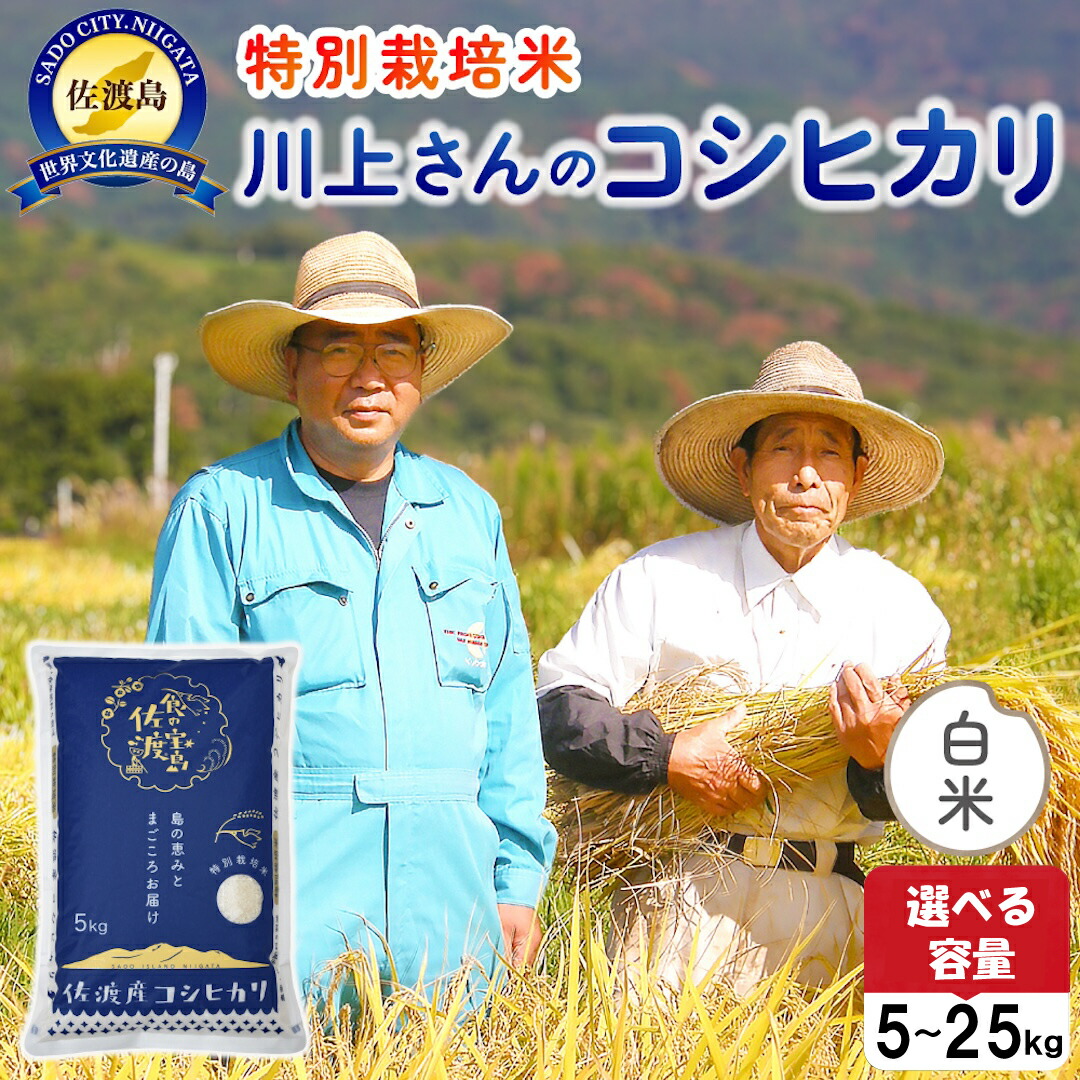【ふるさと納税】佐渡島産 川上さんのコシヒカリ 白米 選べる容量 5kg 10kg 15kg 20kg 25kg 令和7年産 特別栽培米 【食の宝島佐渡】｜新潟県佐渡市