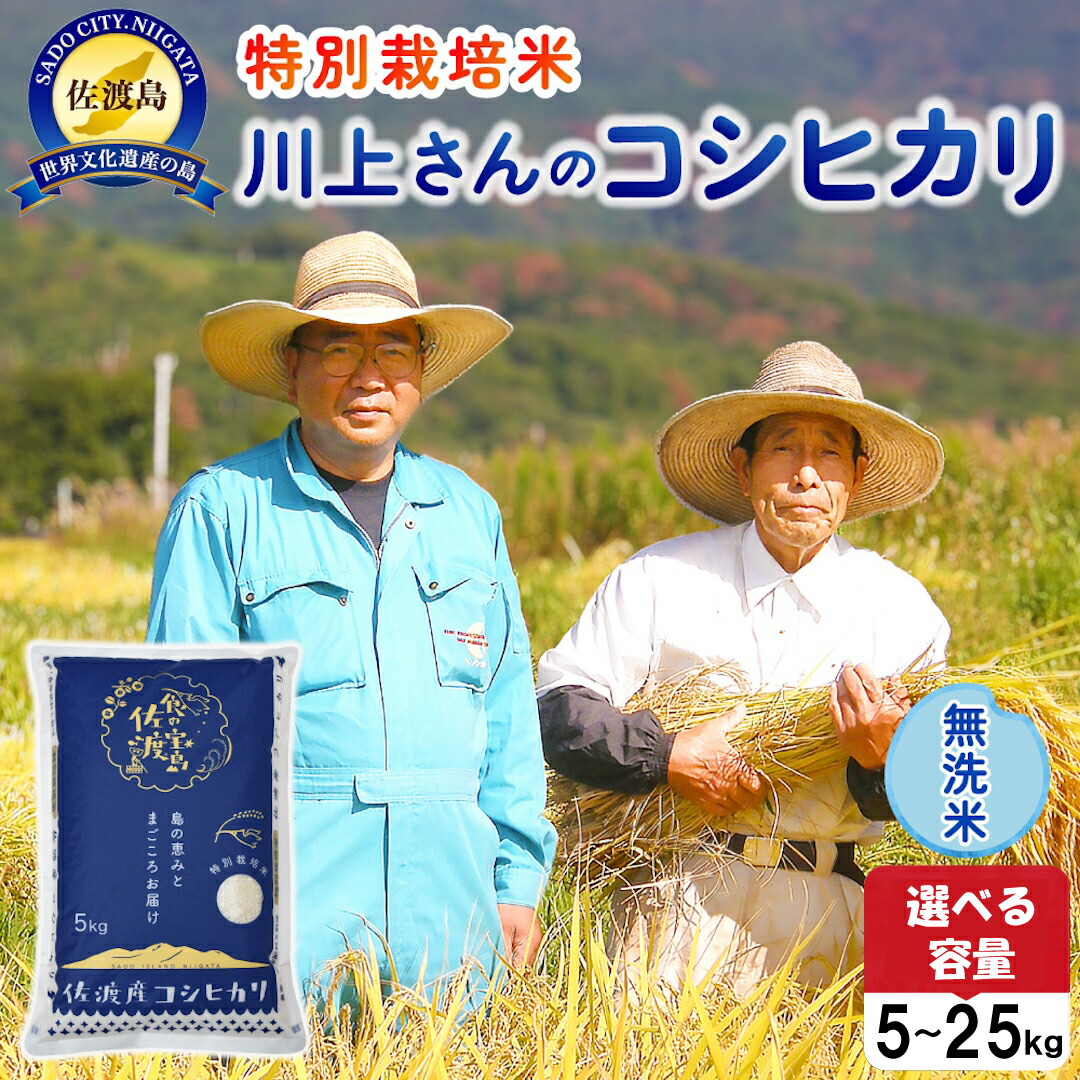 【ふるさと納税】佐渡島産 川上さんのコシヒカリ 無洗米 選べる容量 5kg 10kg 15kg 20kg 25kg 令和7年産 特別栽培米 【食の宝島佐渡】|新潟県佐渡市