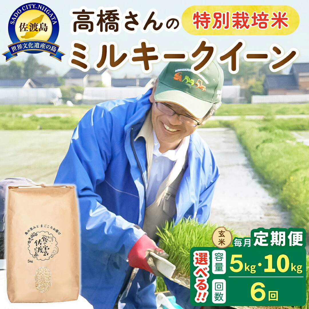 【ふるさと納税】【6か月定期便】佐渡島産ミルキークイーン 玄米 選べる容量 5Kg 10Kg 令和8年産 特別栽培米｜新潟県佐渡市