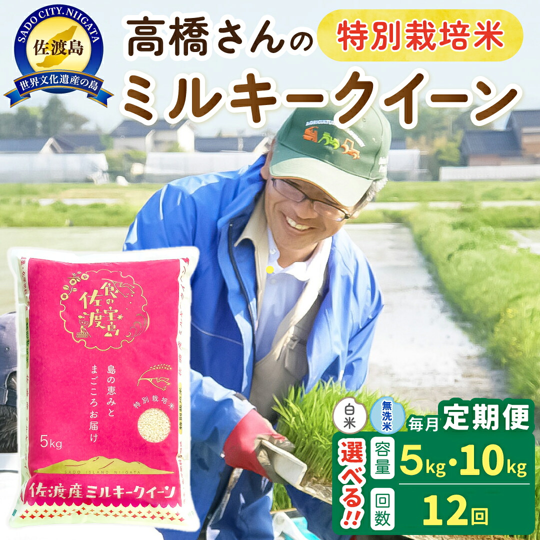 【ふるさと納税】【12か月定期便】佐渡島産ミルキークイーン 白米 or 無洗米 選べる容量 5Kg 10Kg 令和8年 特別栽培米｜新潟県佐渡市