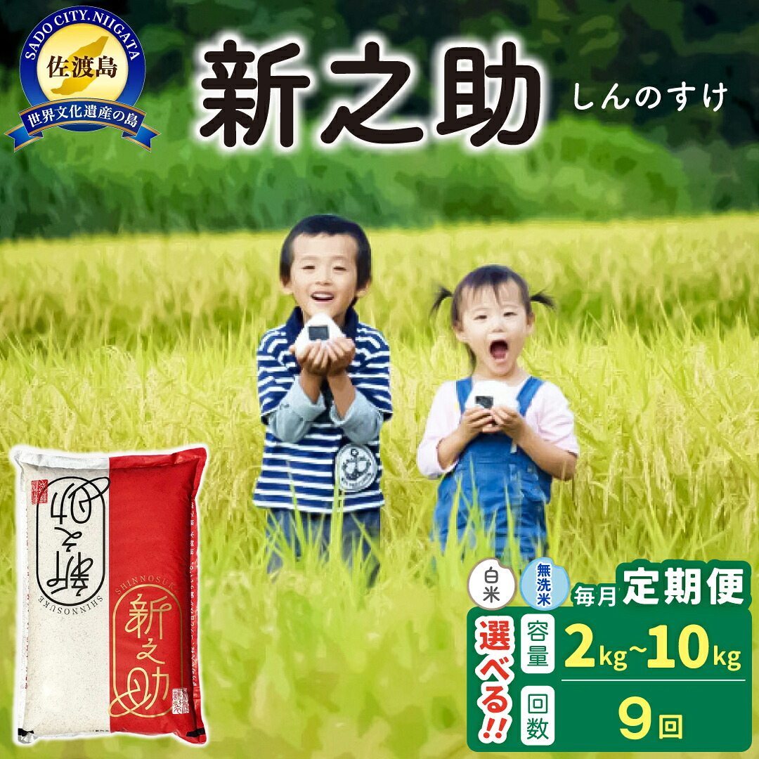 【ふるさと納税】【新米予約 9か月定期便】佐渡島産 新之助 白米 or 無洗米 選べる容量 2Kg 5Kg 10Kg 令和8年｜新潟県佐渡市