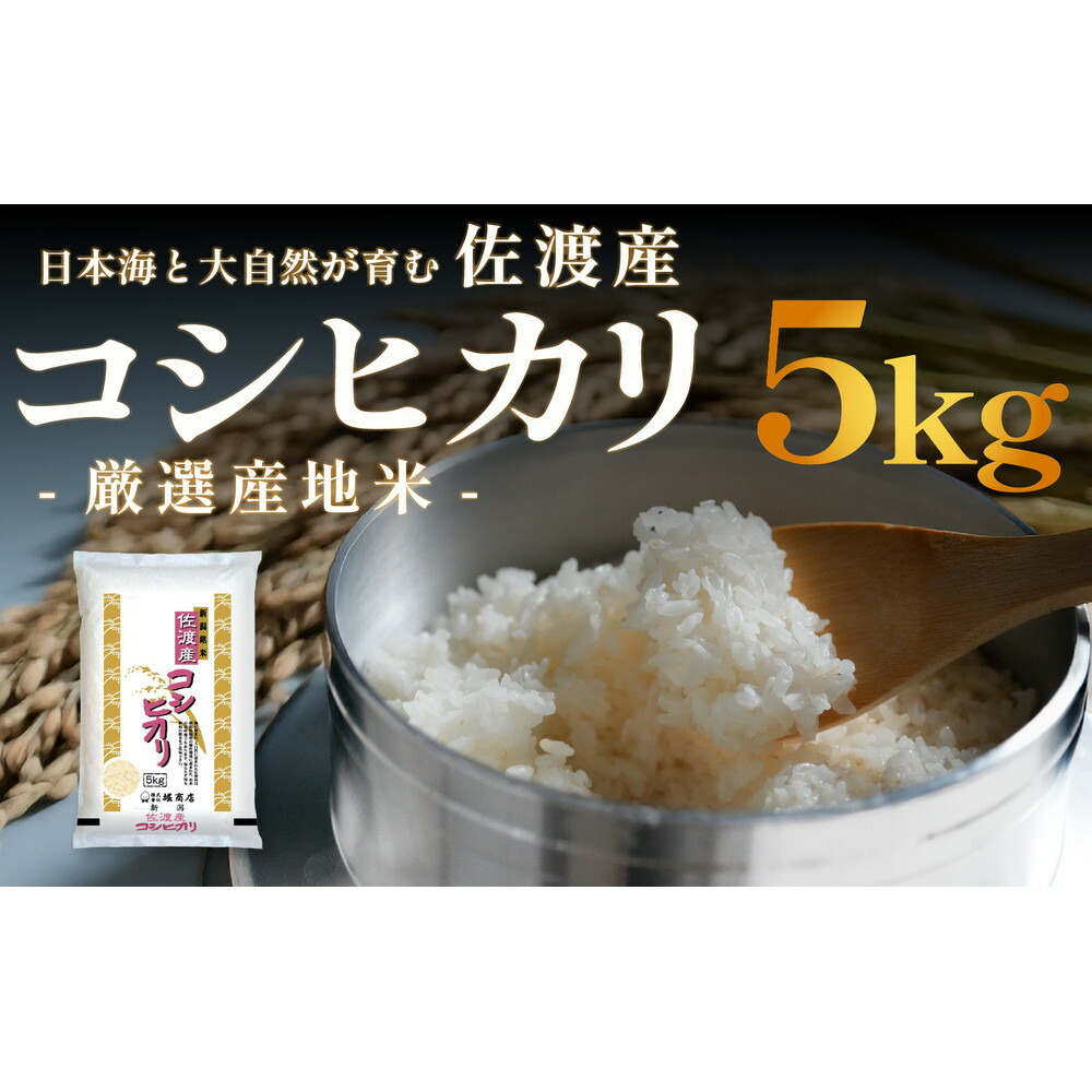 【ふるさと納税】佐渡産コシヒカリ 5kg 令和7年産|新潟県佐渡市