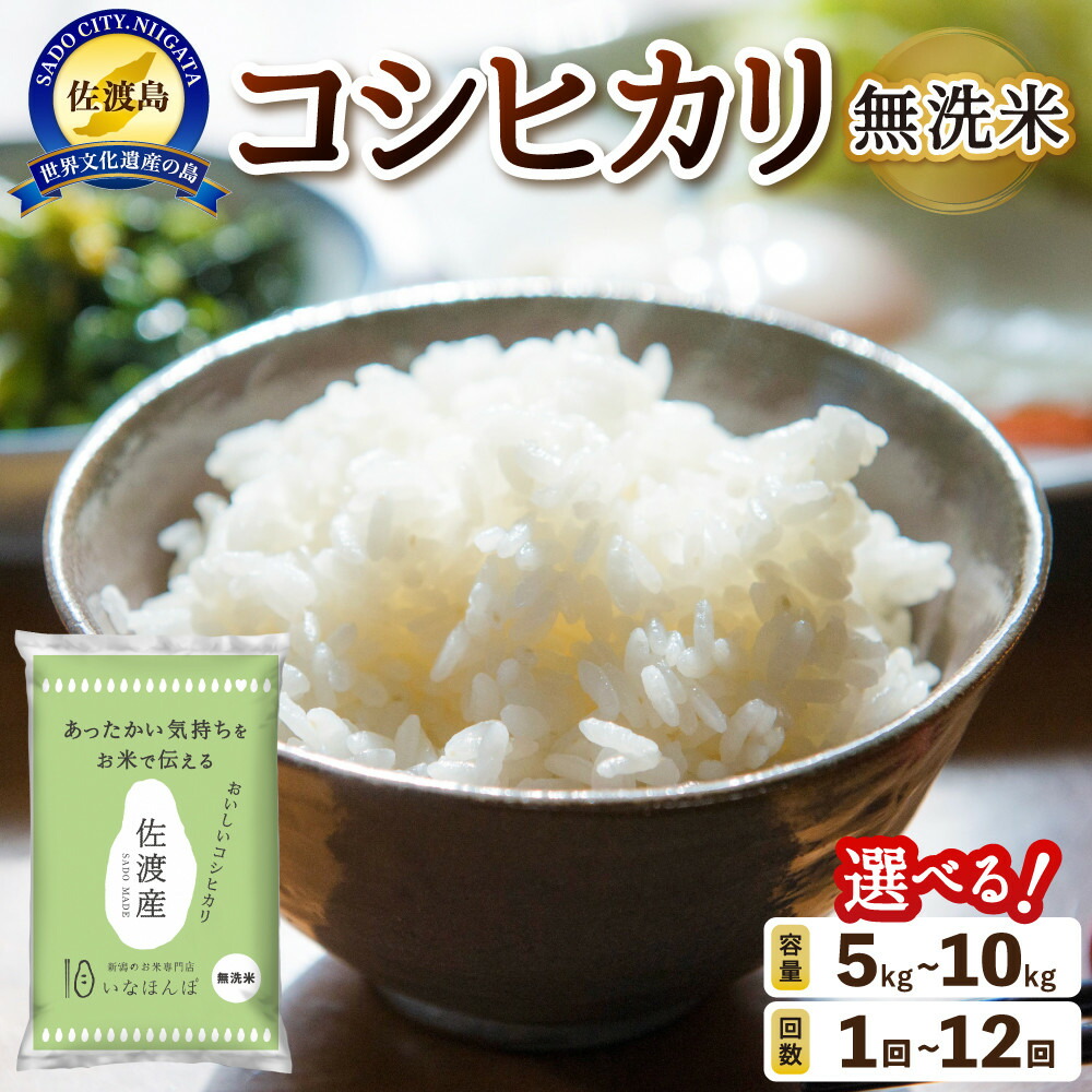 【ふるさと納税】【容量選択可】【配送回数選択可】無洗米佐渡産コシヒカリ5kg～10kg｜新潟県佐渡市