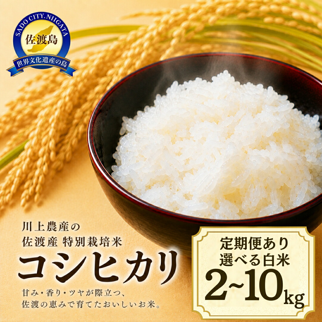 【ふるさと納税】【容量選択可】【定期便あり】令和7年産 佐渡 川上農産のコシヒカリ 2kg~10kg|新潟県佐渡市