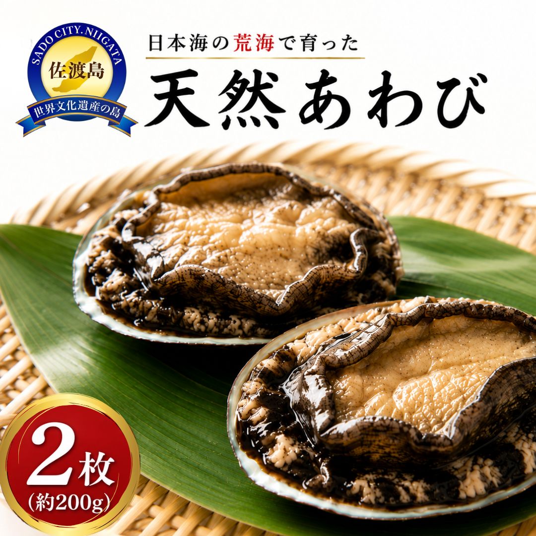 【ふるさと納税】日本海　佐渡産　荒海育ち天然活あわび2枚（200g見当）｜新潟県佐渡市