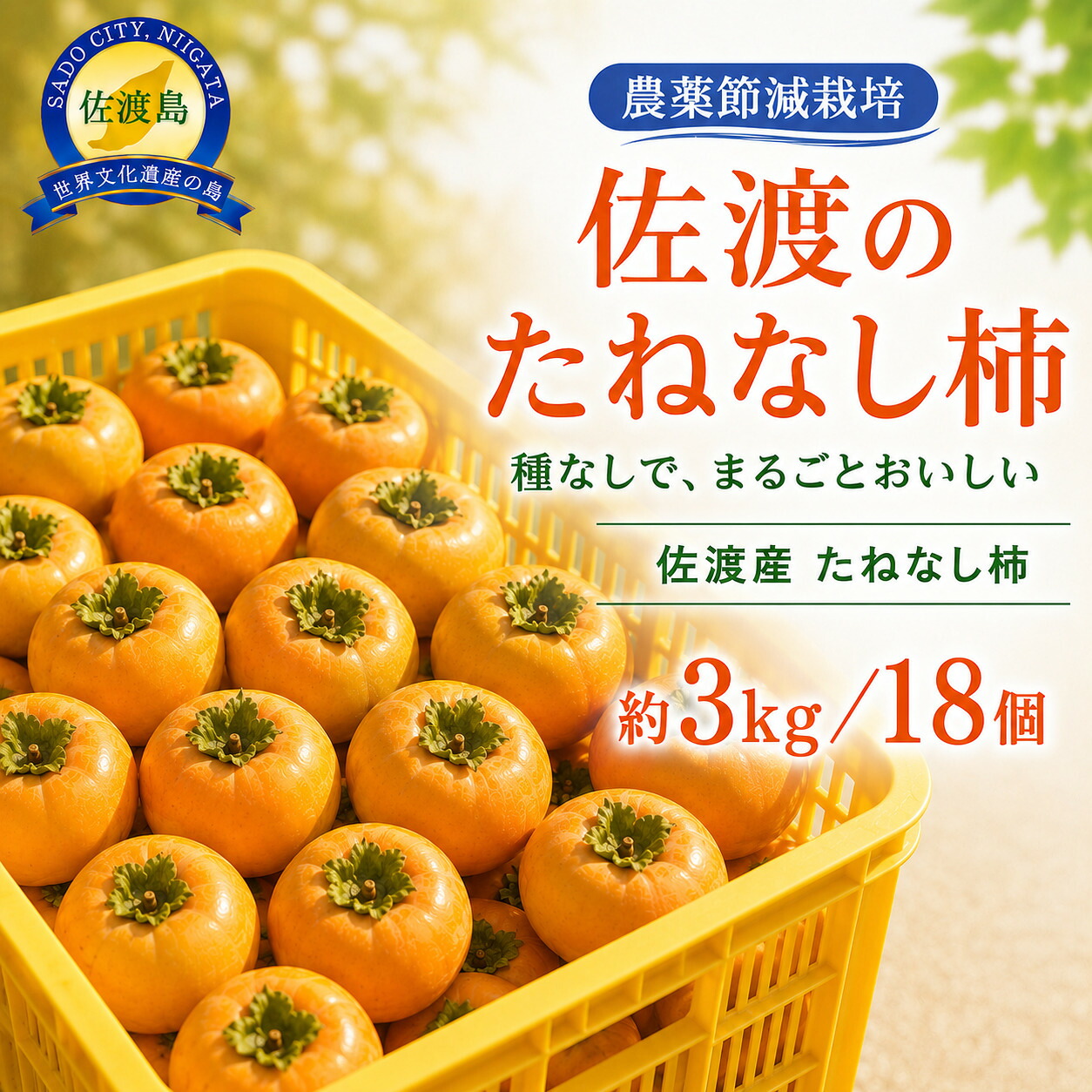 【ふるさと納税】たねなし柿(島のかき)農薬節減栽培 3キロ/5キロ|新潟県佐渡市