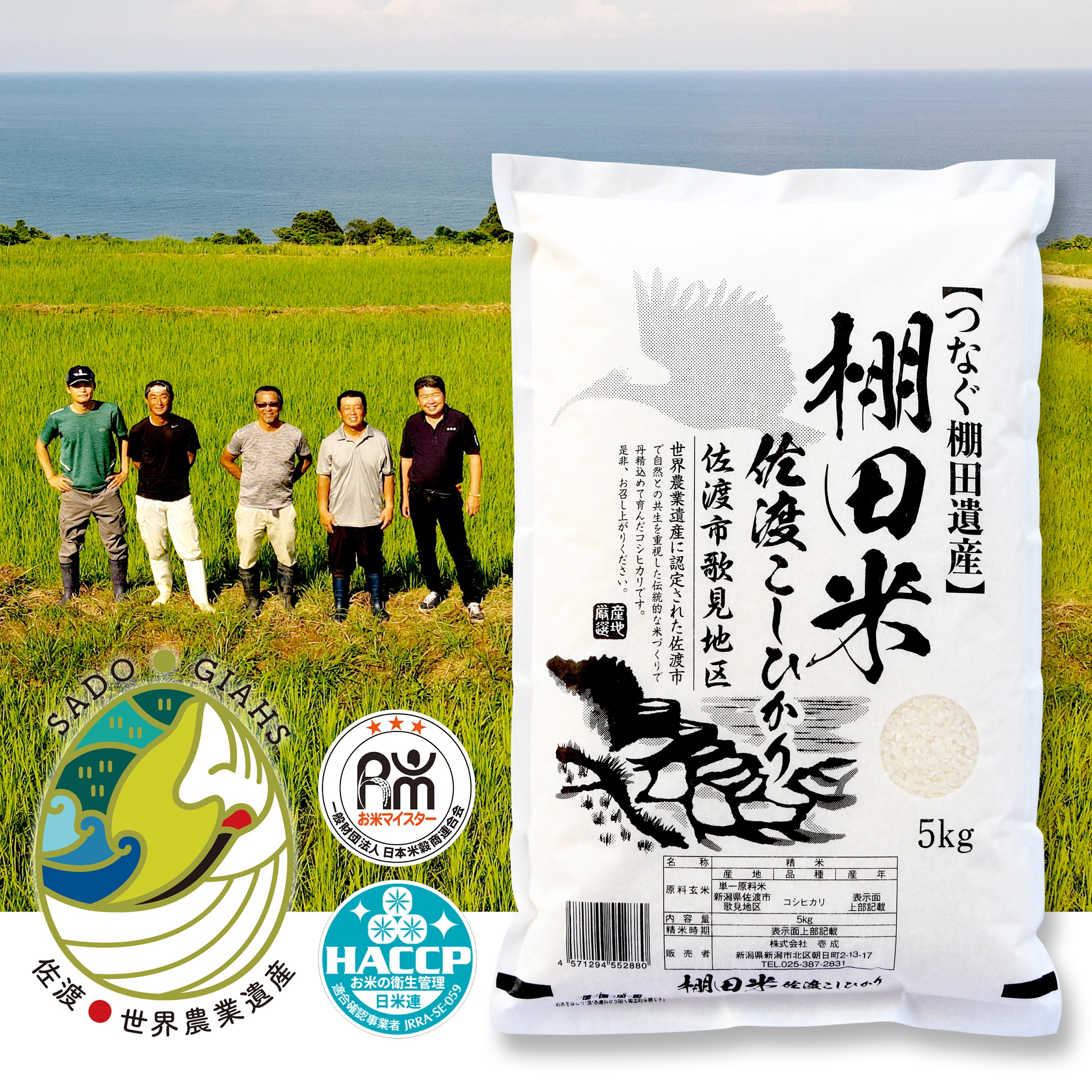 【ふるさと納税】米 コシヒカリ 佐渡産 ( 5kg ) 棚田米 佐渡市歌見地区【令和7年米】｜新潟県佐渡市