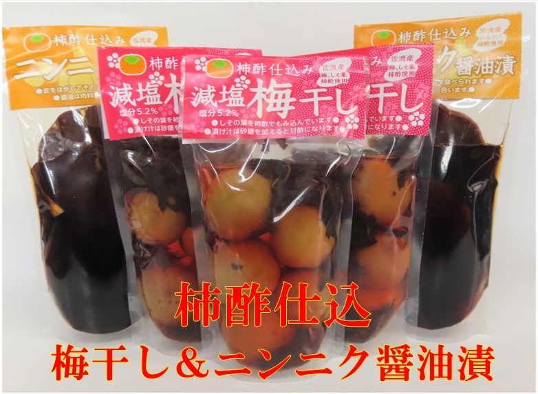 【ふるさと納税】柿酢仕込み 梅干し(100g×3袋)&ニンニク醤油漬け(100g×2袋)セット|新潟県佐渡市