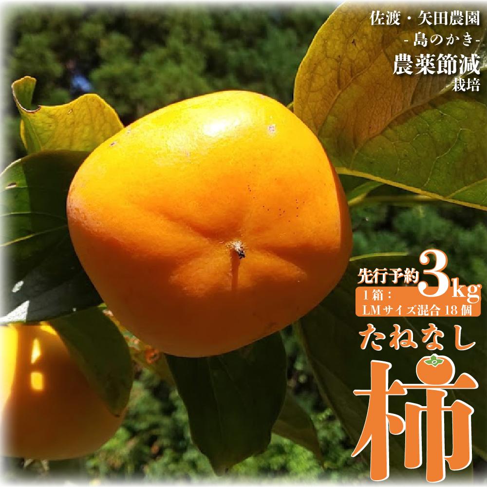【ふるさと納税】【先行予約】たねなし柿（島のかき）農薬節減栽培　3キロ／5キロ