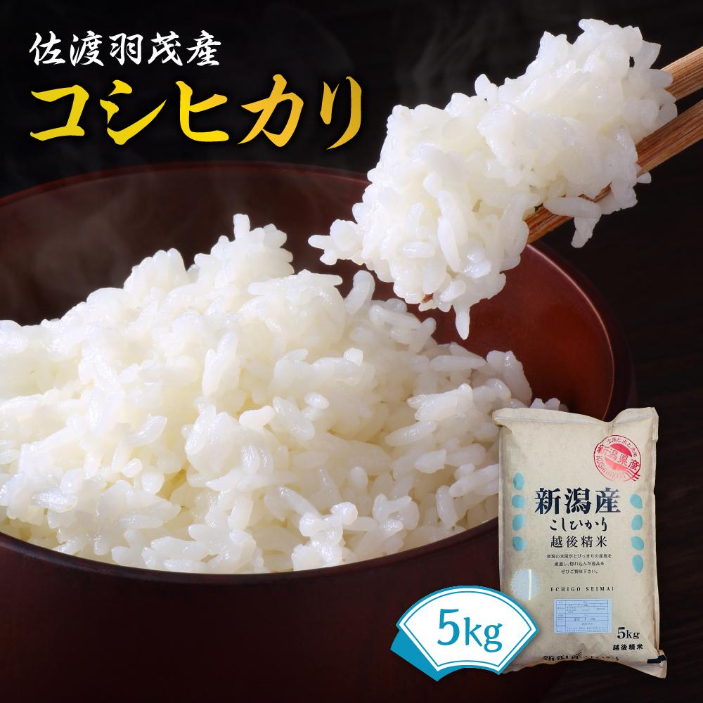 【ふるさと納税】佐渡羽茂産コシヒカリ 5kg | お米 こめ 白米 食品 人気 おすすめ 送料無料