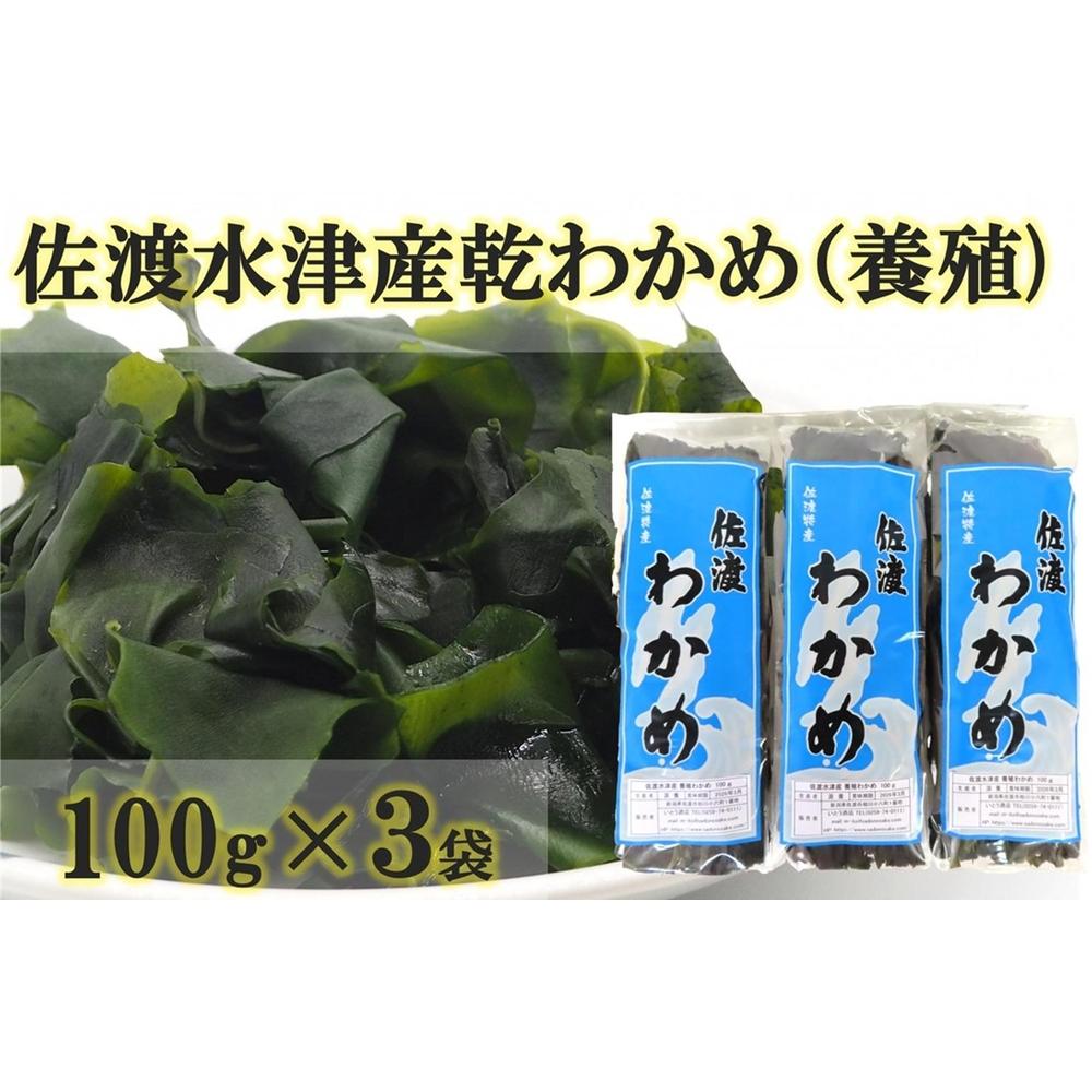 【ふるさと納税】佐渡水津産乾燥わかめ（養殖)100g×3袋セット | 海藻 海産物 水産 食品 人気 おすすめ 送料無料