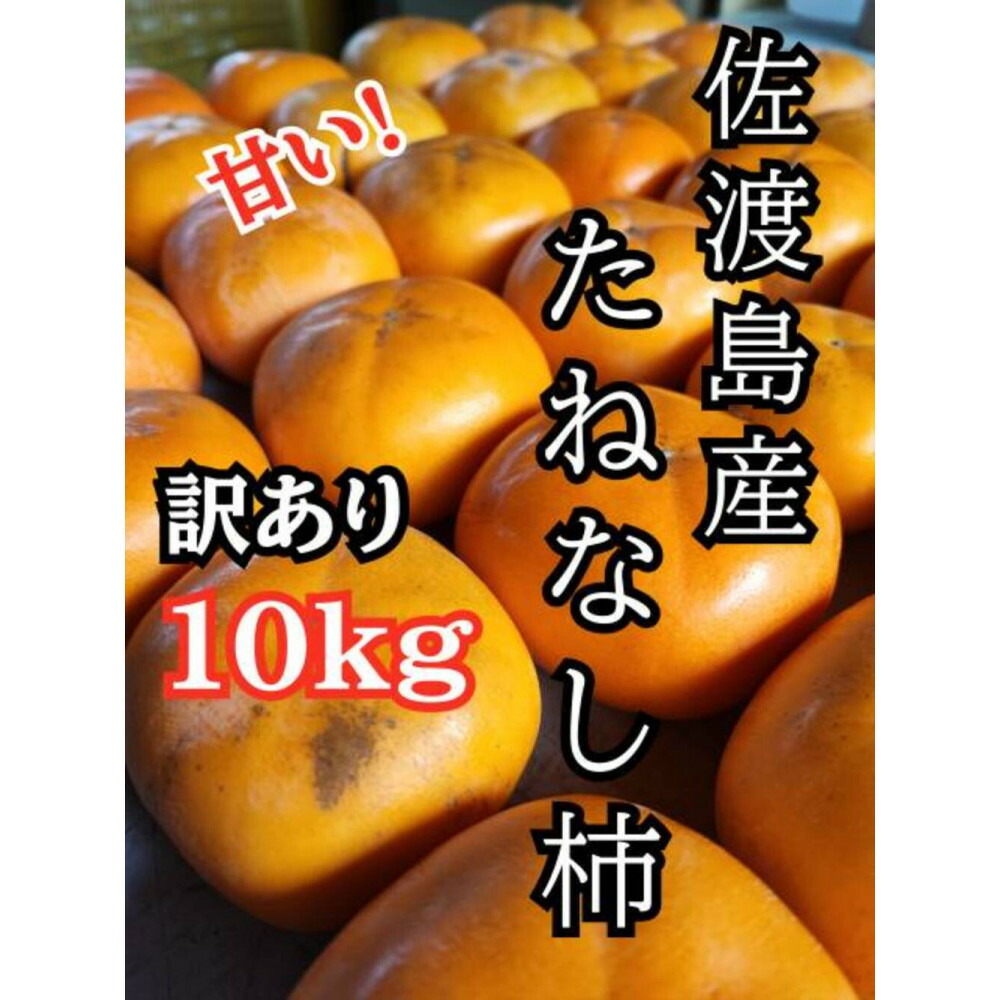 【ふるさと納税】【訳あり】たねなし柿10kg（箱込み重量）佐渡島産 | フルーツ 果物 くだもの 食品 人気 おすすめ 送料無料