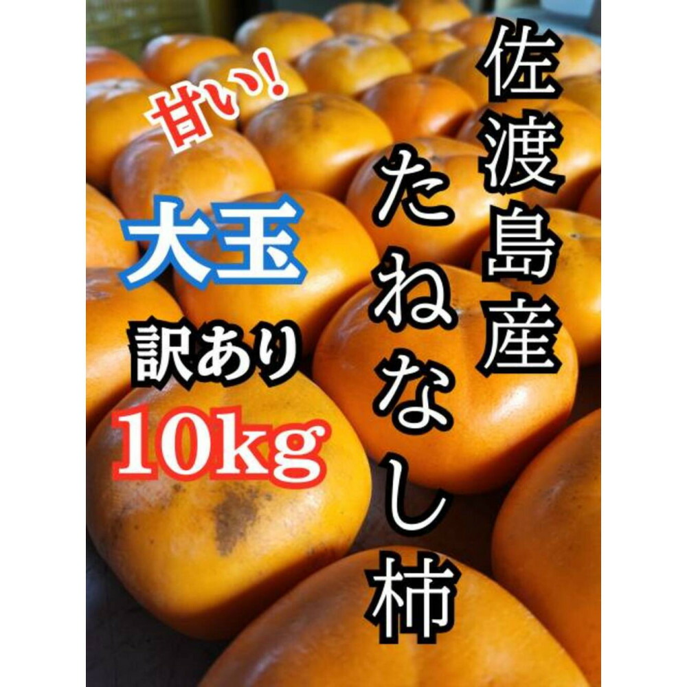 【ふるさと納税】【訳あり】大玉たねなし柿10kg（箱込み重量）佐渡島産 | フルーツ 果物 くだもの 食品 人気 おすすめ 送料無料