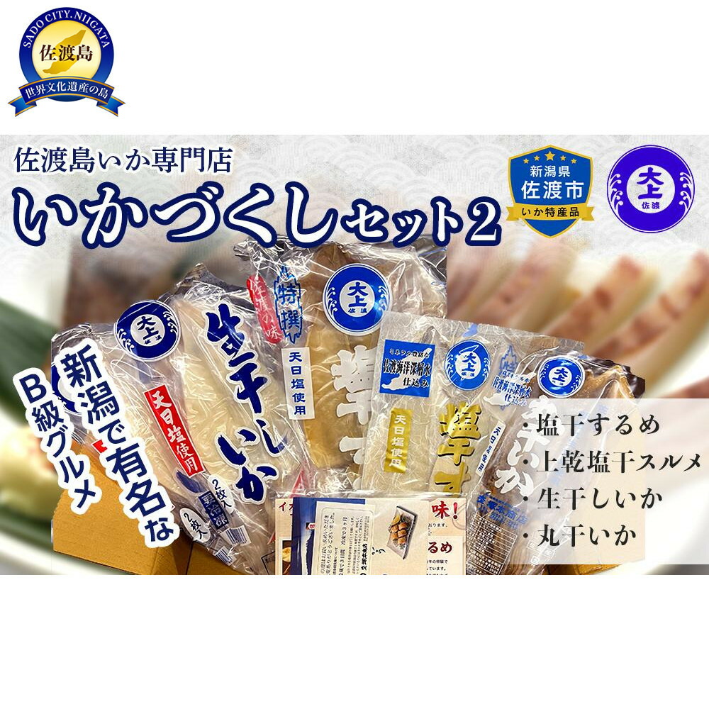 【ふるさと納税】佐渡島いか専門店　いかづくしセット2